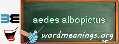 WordMeaning blackboard for aedes albopictus